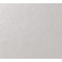 Casalgrande Padana Architecture Gloss Light Ivory 9,5